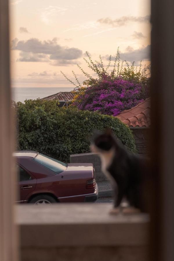 Vila Casa Da Pitanga Jardim do Mar Exteriér fotografie